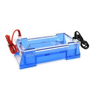  六一 DYCP-32A 中号琼脂糖水平电泳仪