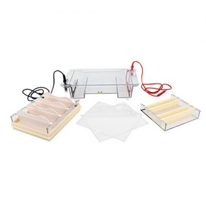  六一 DYCP-31E 中号琼脂糖水平电泳仪