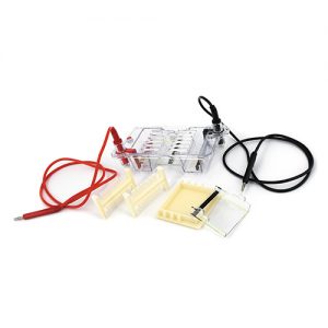 六一 DYCP-31BN 琼脂糖水平电泳仪 实验室产品