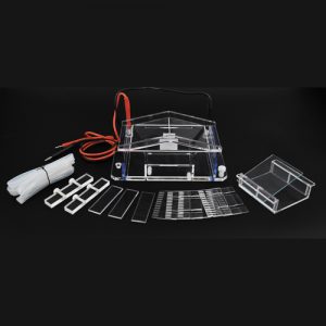  六一 DYCP-31A 微型琼脂糖水平电泳仪