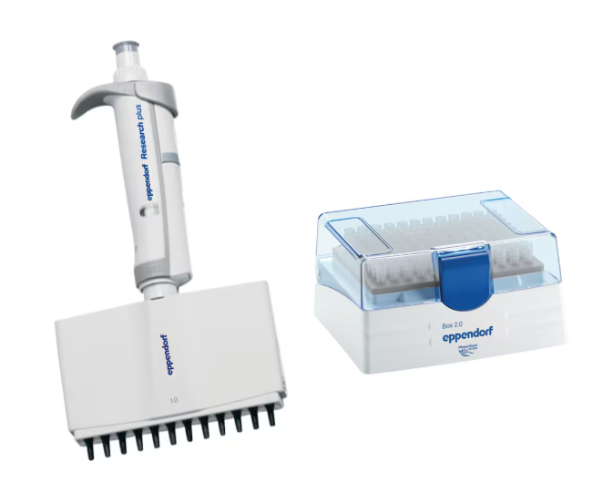 Eppendorf Research plus 0.5-10μL 十二道手动移液器 12道排枪