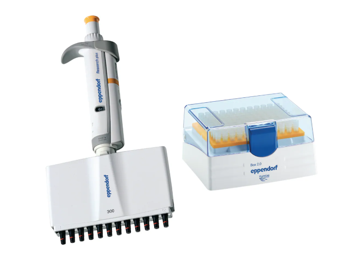 Eppendorf Research plus 30-300μL 十二道手动移液器 12道排枪