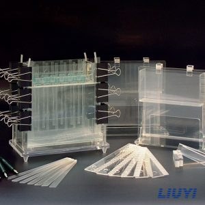 六一 DYCZ-21 多用途电泳仪
